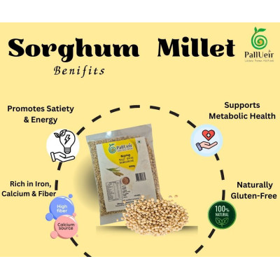 Sorghum millet