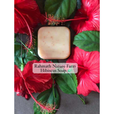 Hibiscus Soap 