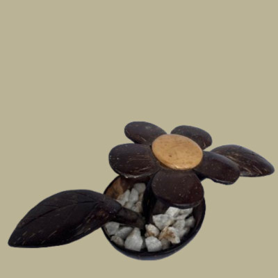  Coconut Shell Decorative Flowerpot