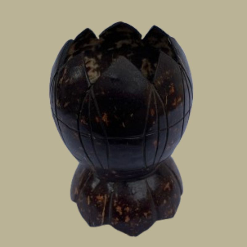 Coconut Shell Decorative Holder